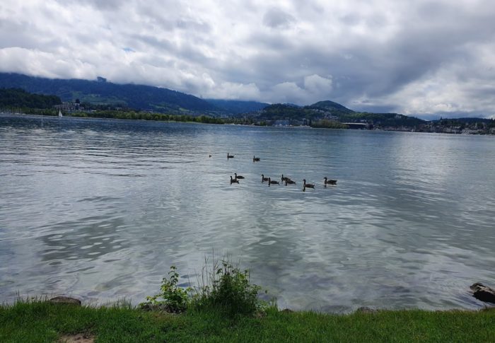 Mes sautes d’humeur