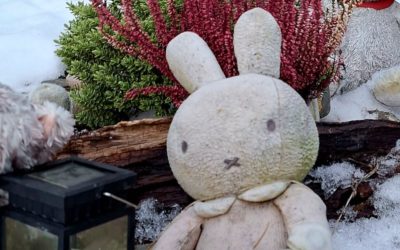 Une visite au cimetière