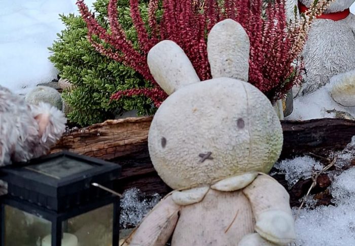 Une visite au cimetière